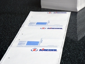 morepic-1