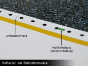 morepic-5